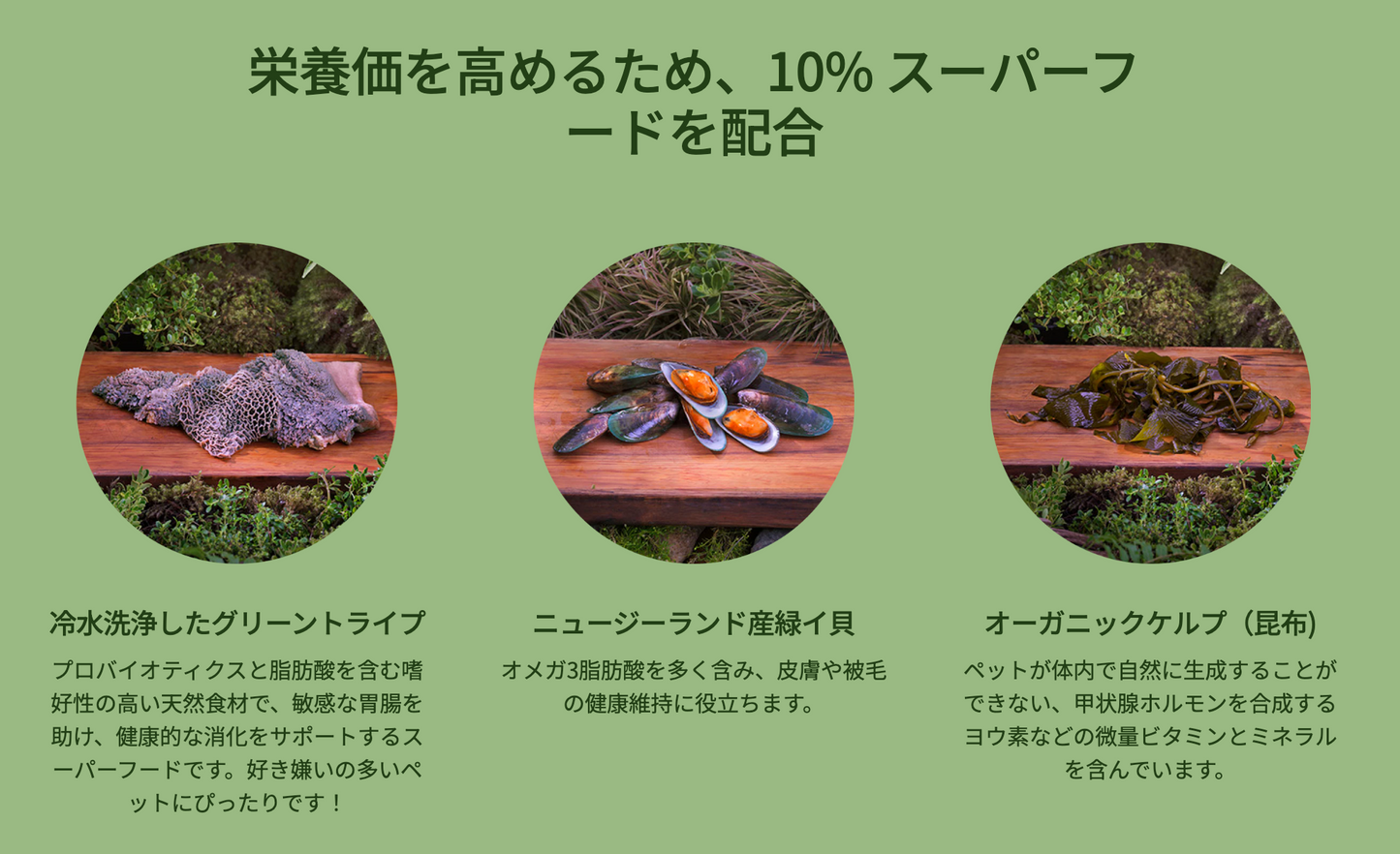 ZIWI -Peak- ウェットキャットフード ベニソン(鹿肉)