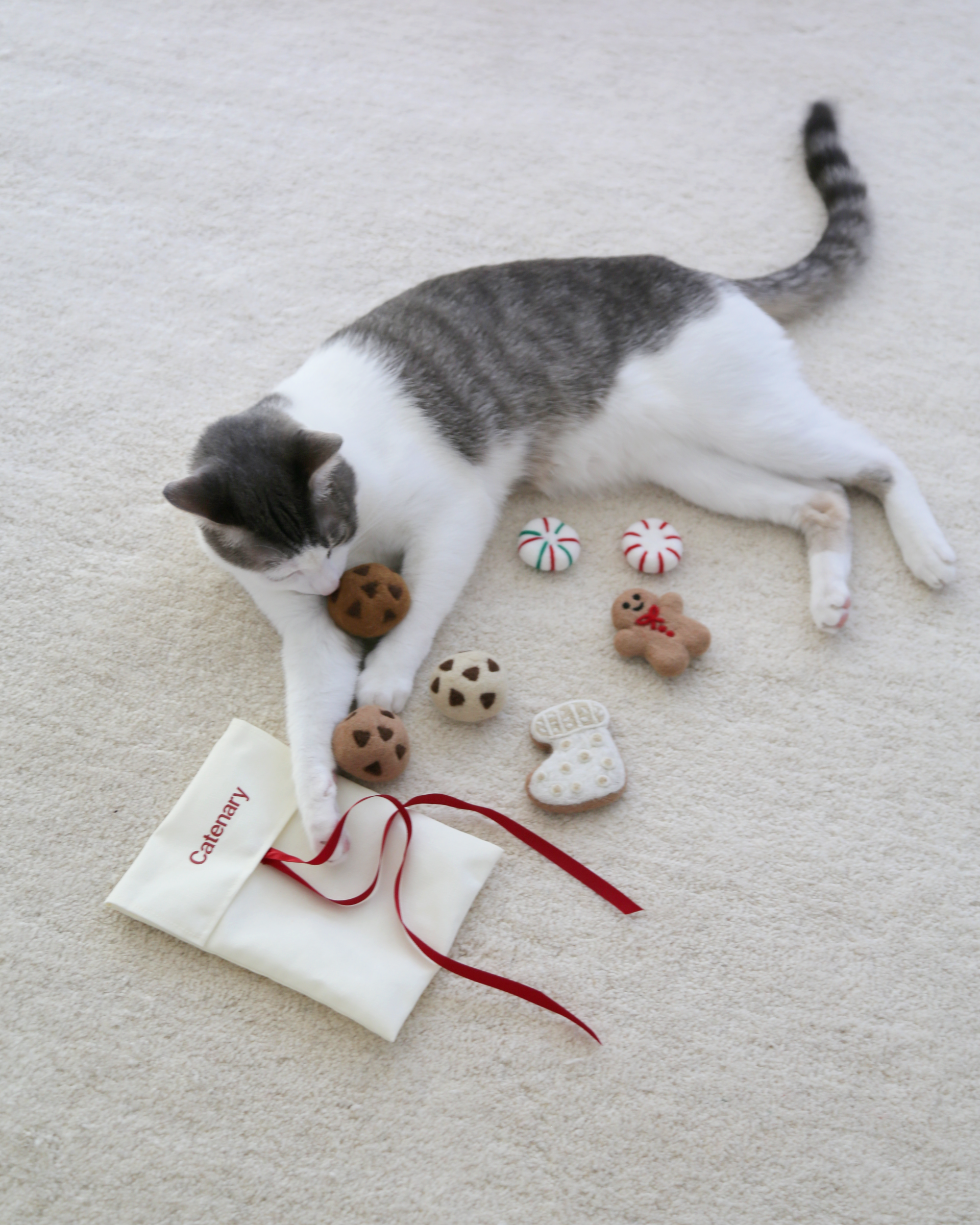 SOLD OUT】Holiday Cookie Toys – Katte