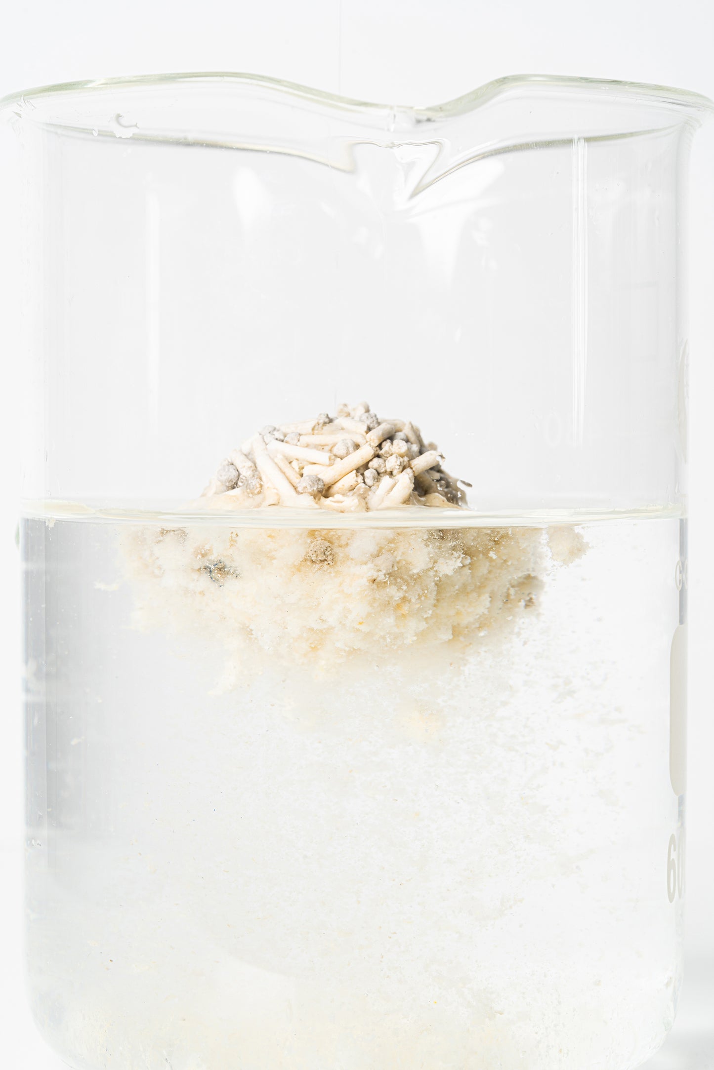 Pidan / ピダン 猫砂 おからベントナイトミックス 2.4kg