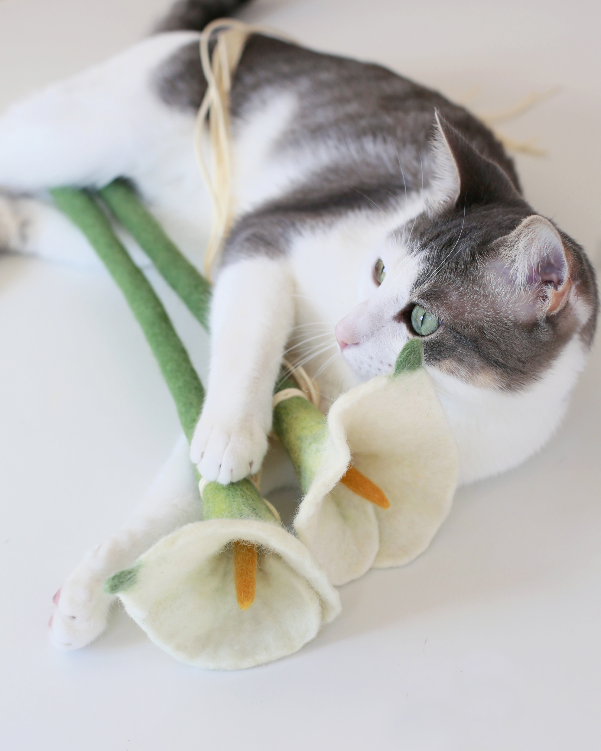Flora Wand – Katte