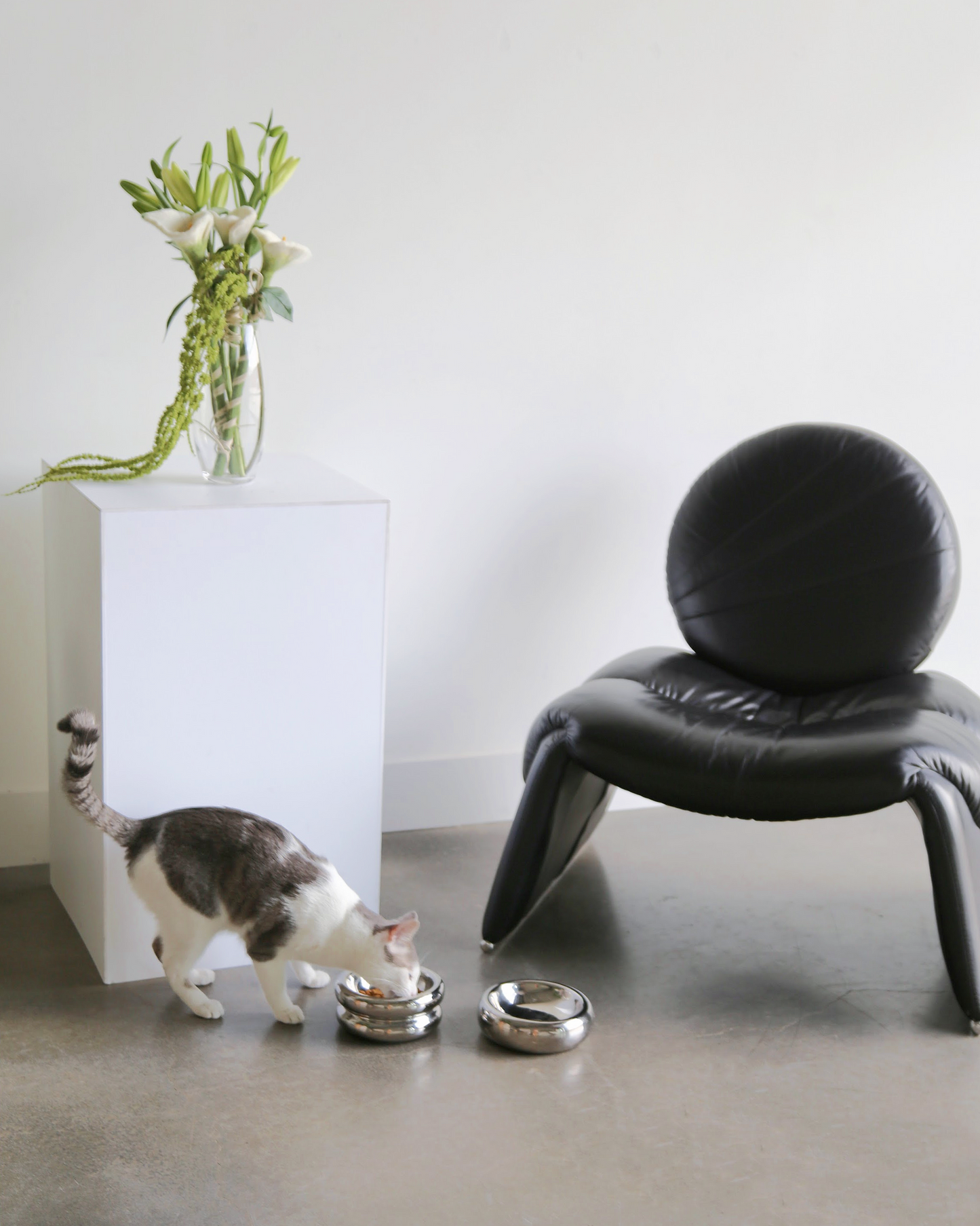 Elevated Halo Bowl in Chrome