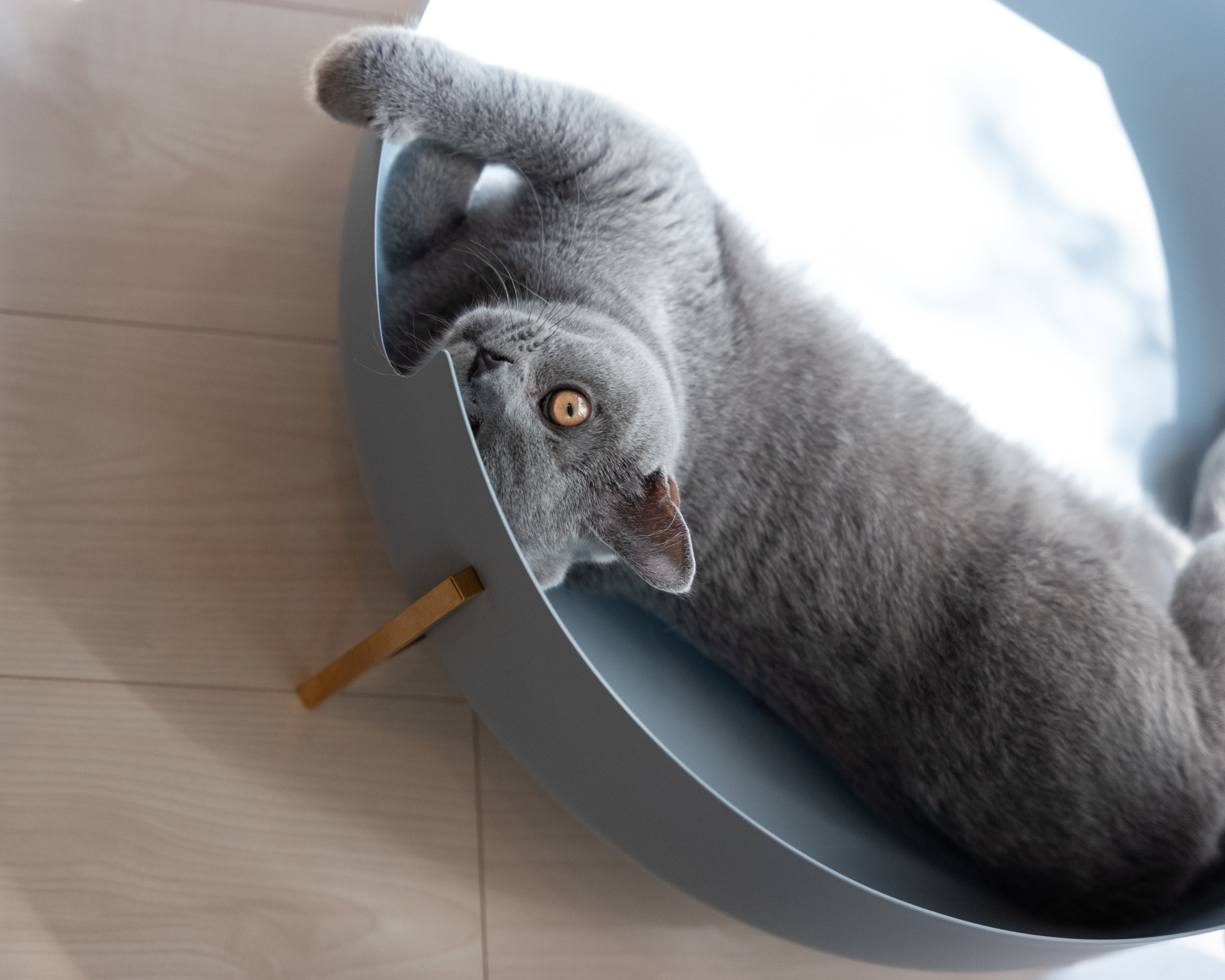 不安な気持ちにも、そっと寄り添って。