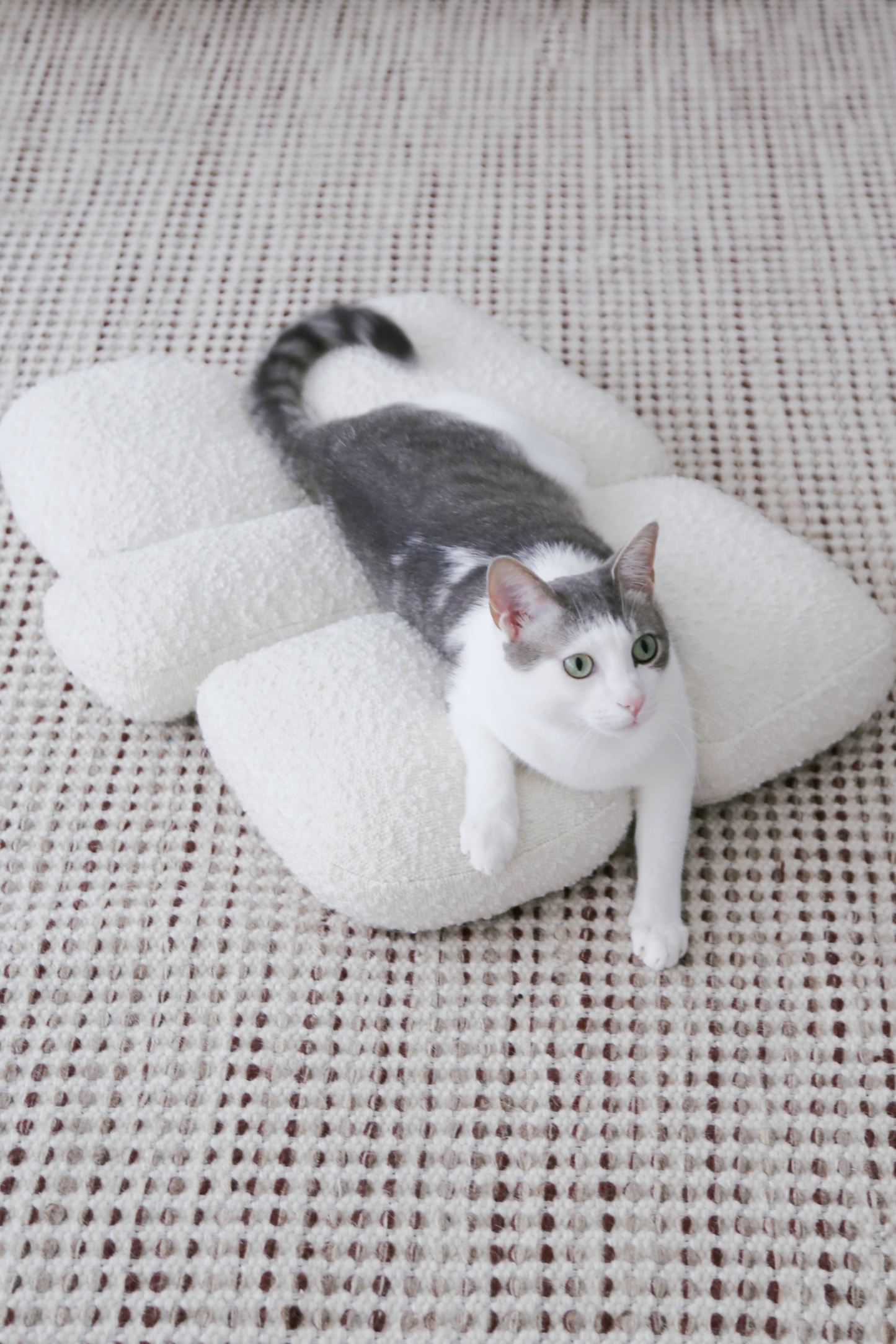 【プレオーダー】Pebble Bed