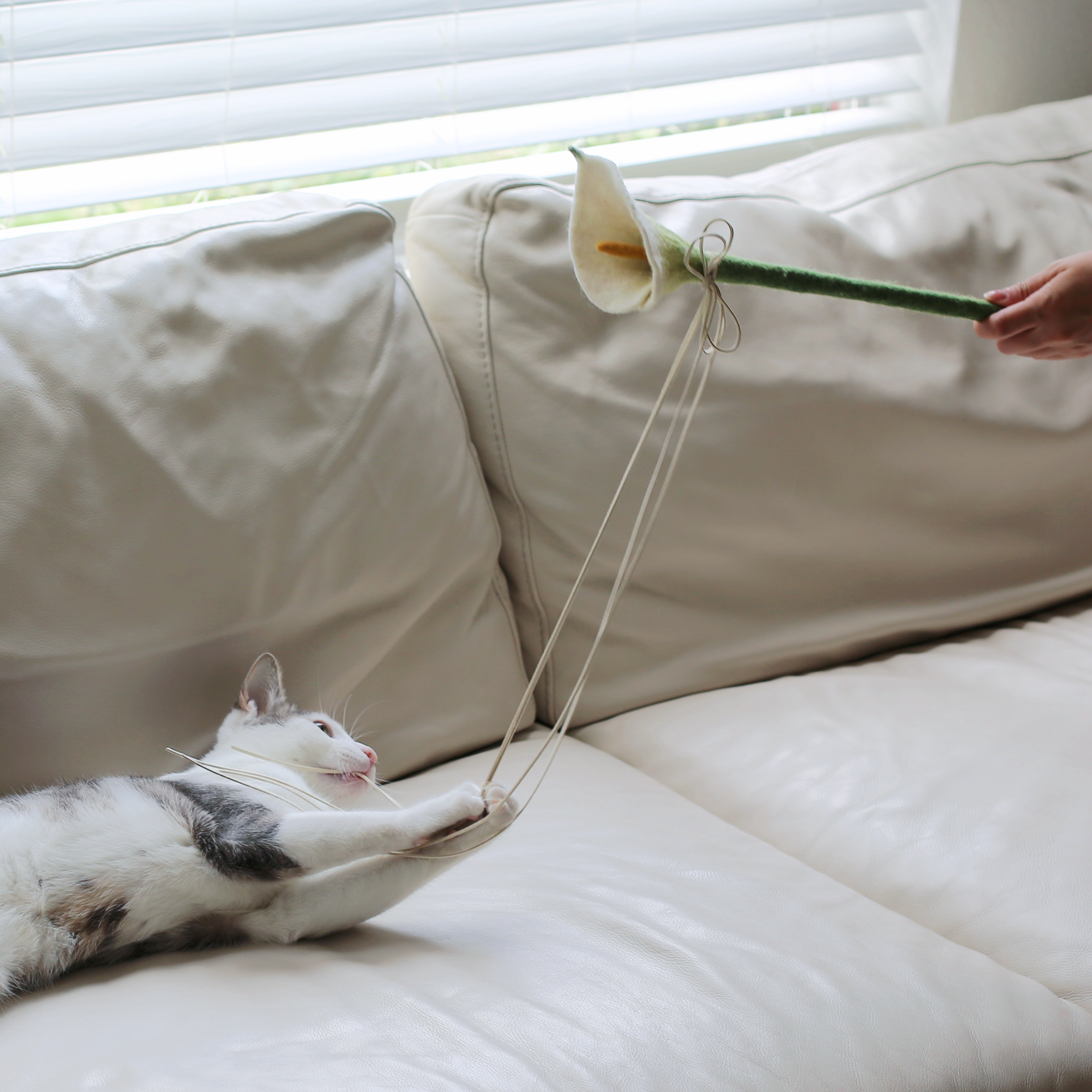 Flora Wand – Katte