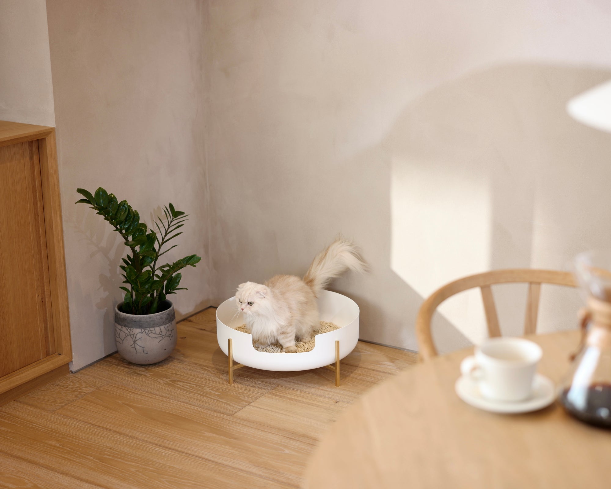 伊勢丹新宿店にて先行販売決定。