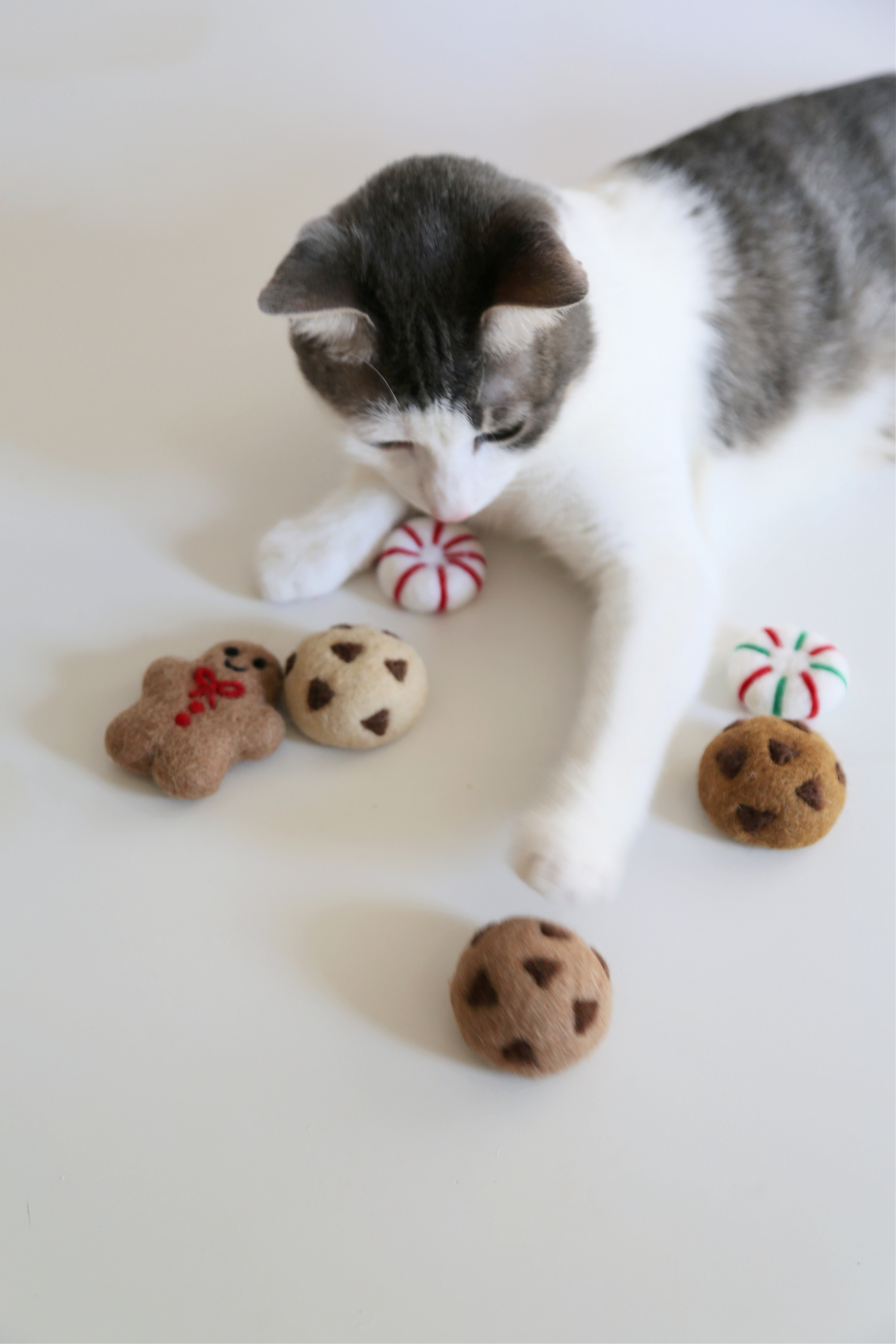 SOLD OUT】Holiday Cookie Toys – Katte