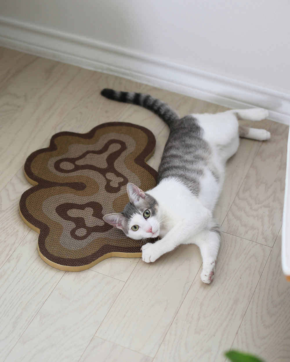 Bloom Scratchers
