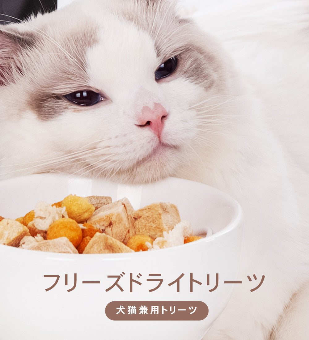 CHARM / チャーム  FRREZE DRIED TREAT