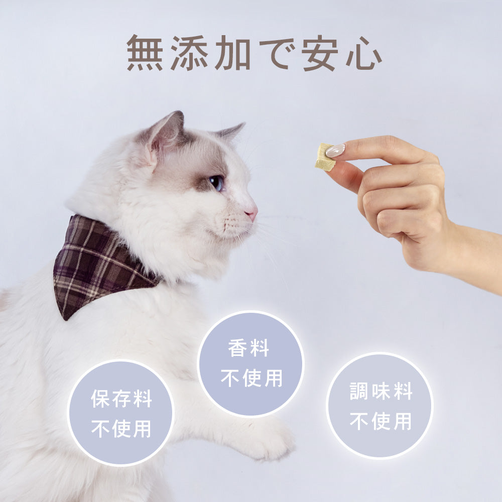 CHARM / チャーム  FRREZE DRIED TREAT