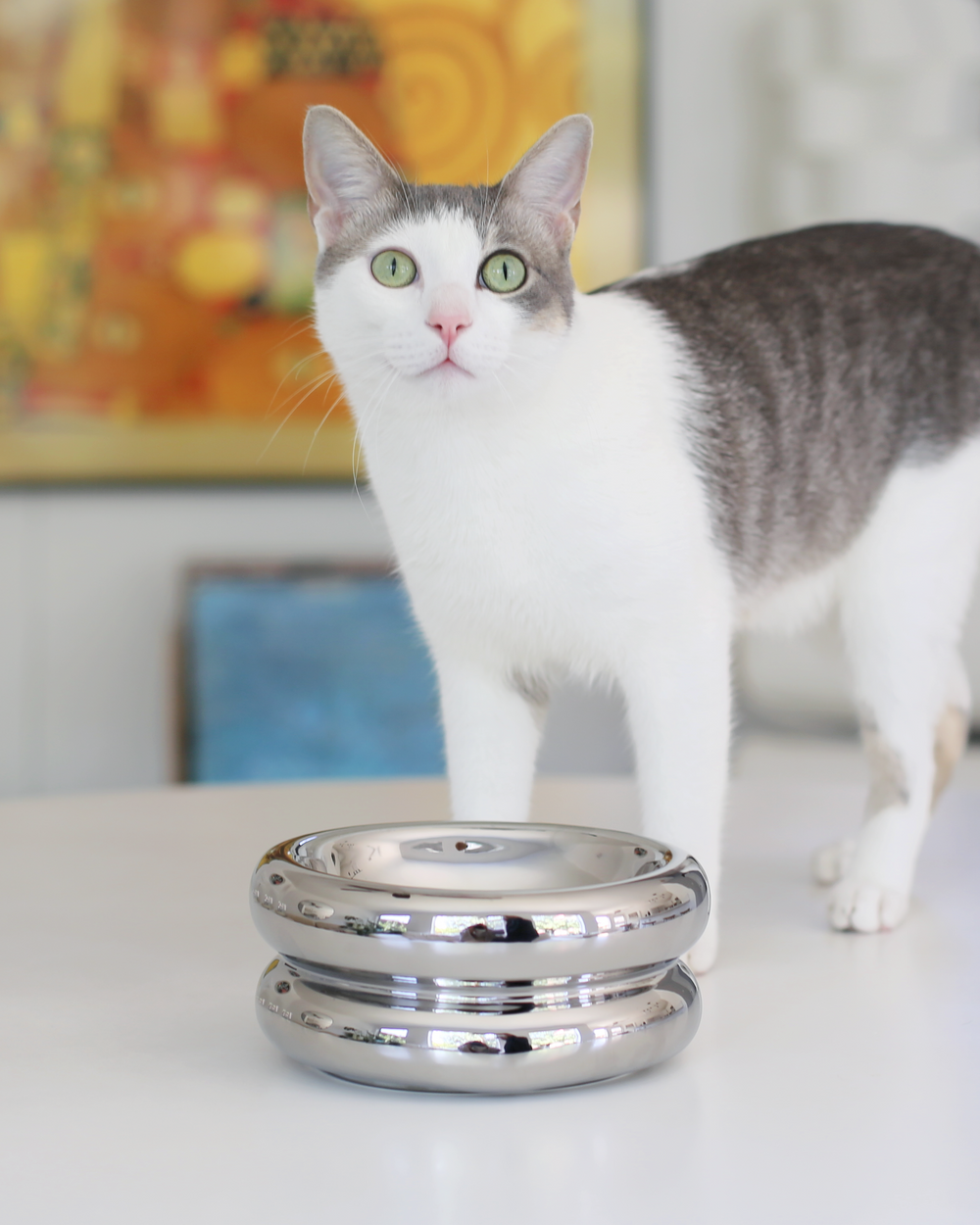 Elevated Halo Bowl in Chrome