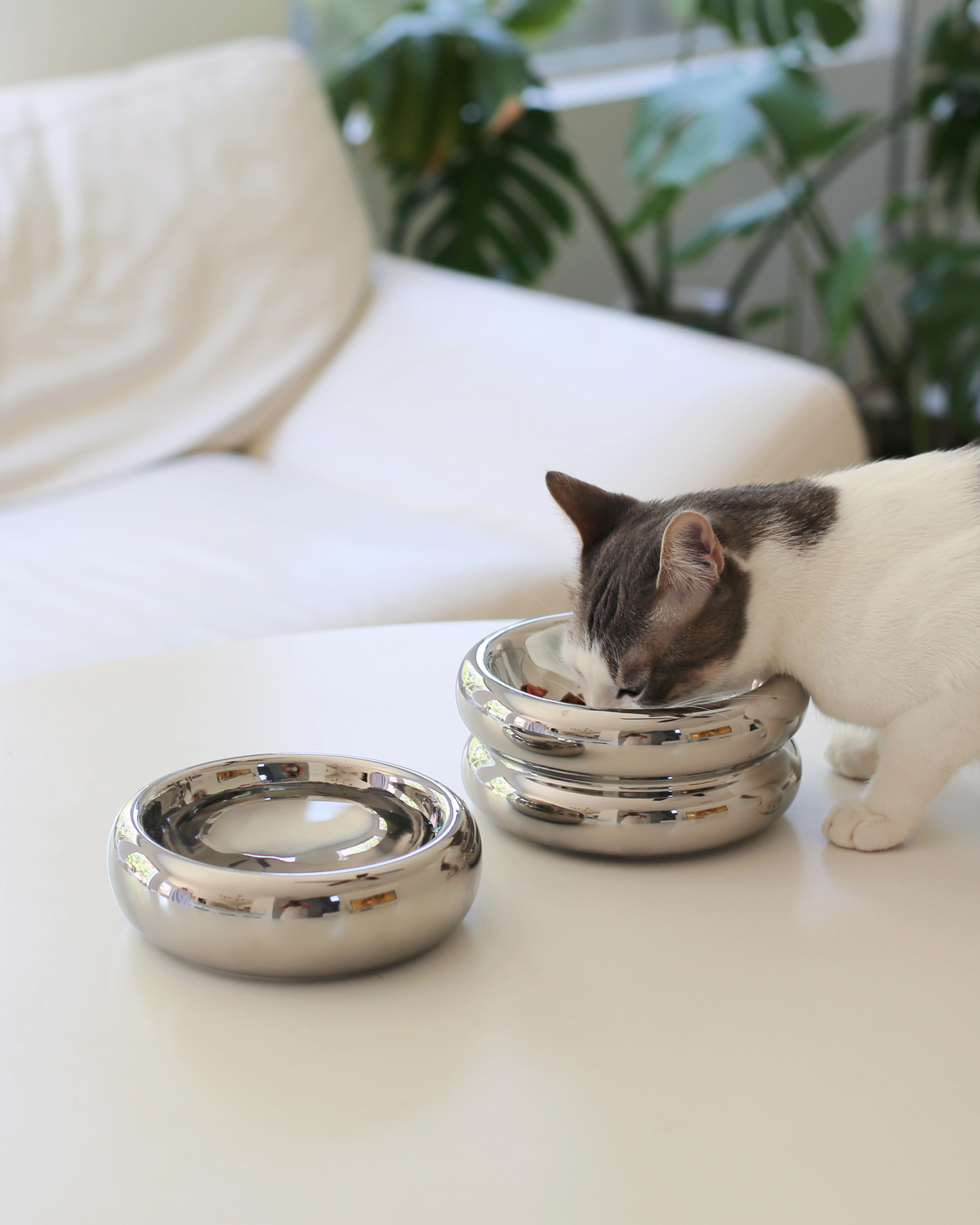 Elevated Halo Bowl in Chrome