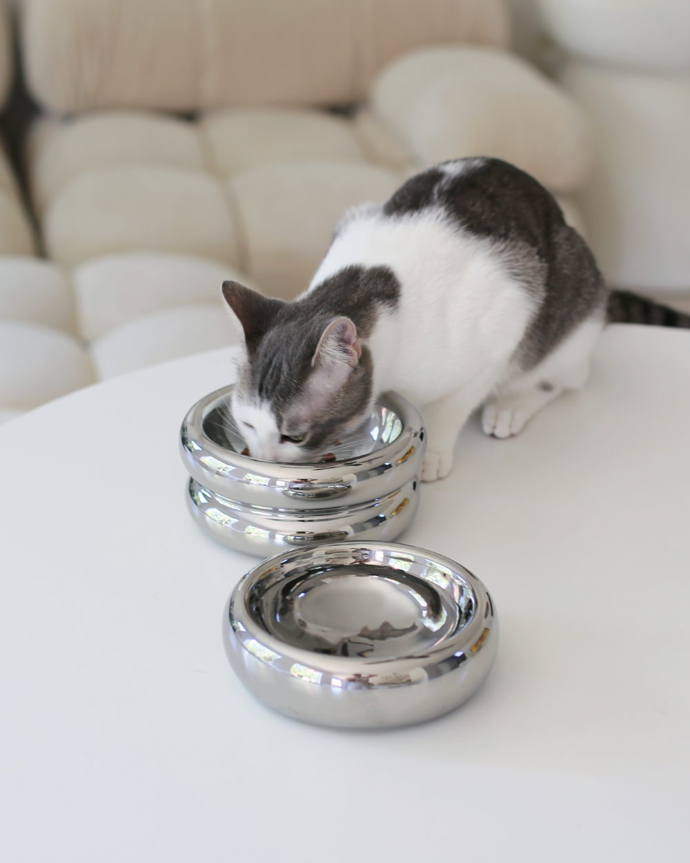 Elevated Halo Bowl in Chrome
