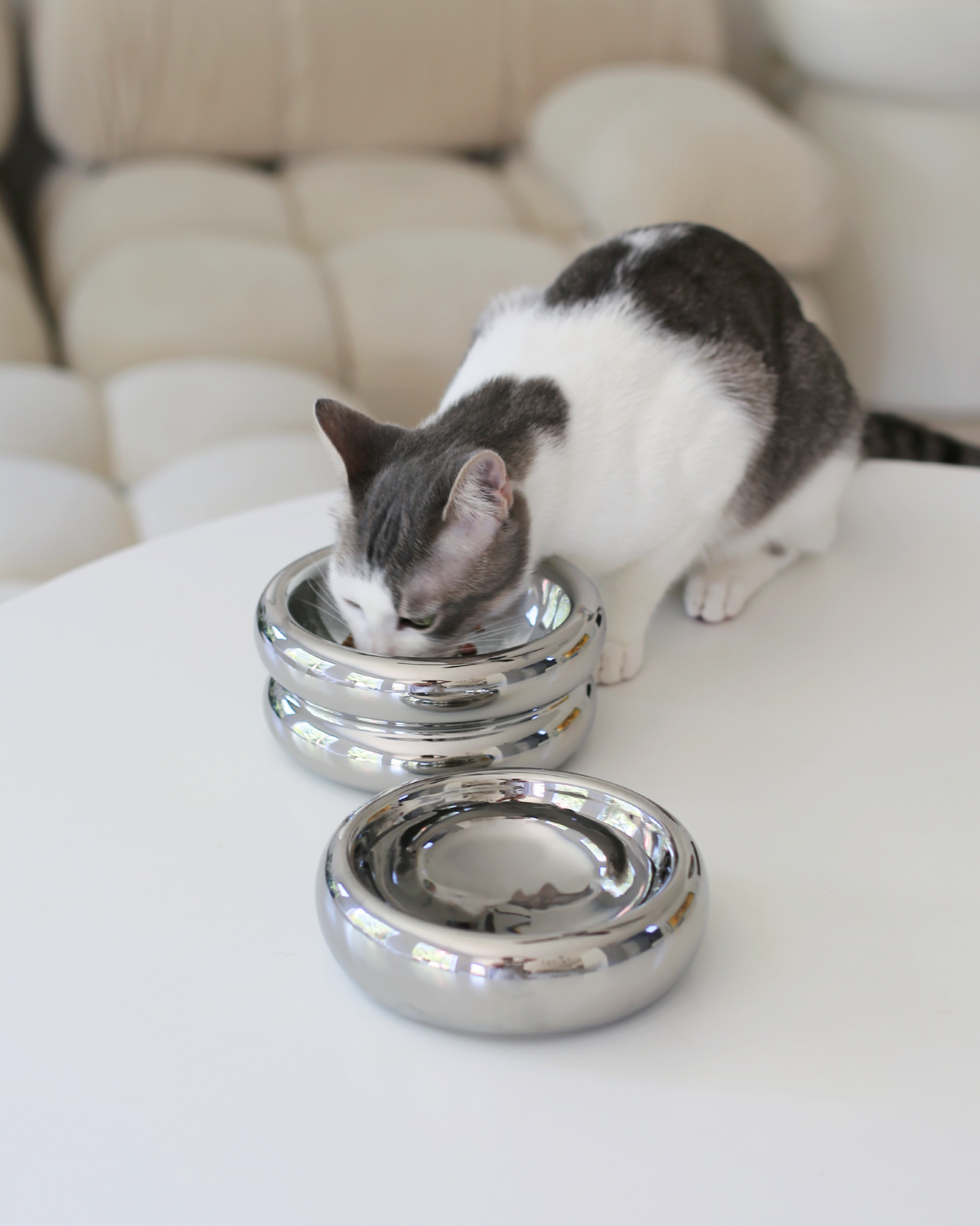 Elevated Halo Bowl in Chrome