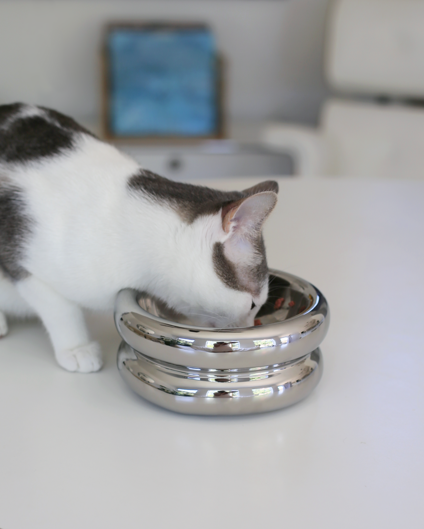 Elevated Halo Bowl in Chrome