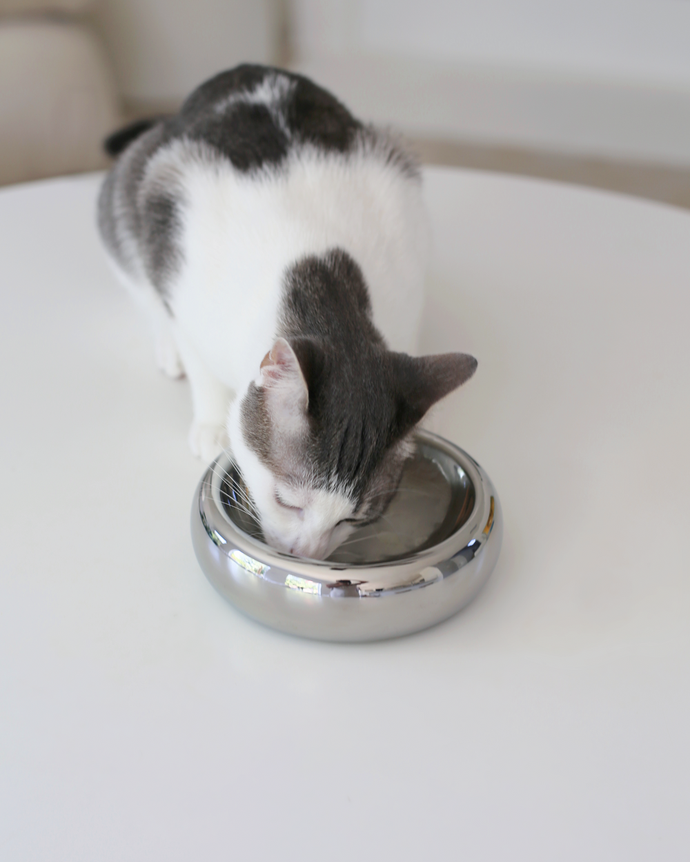 Halo Bowl in Chrome