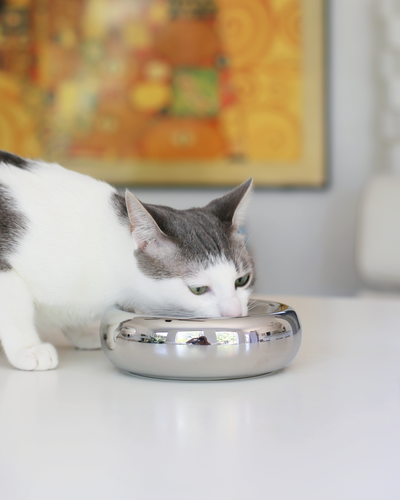 Halo Bowl in Chrome