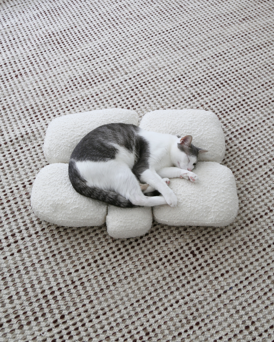 【プレオーダー】Pebble Bed