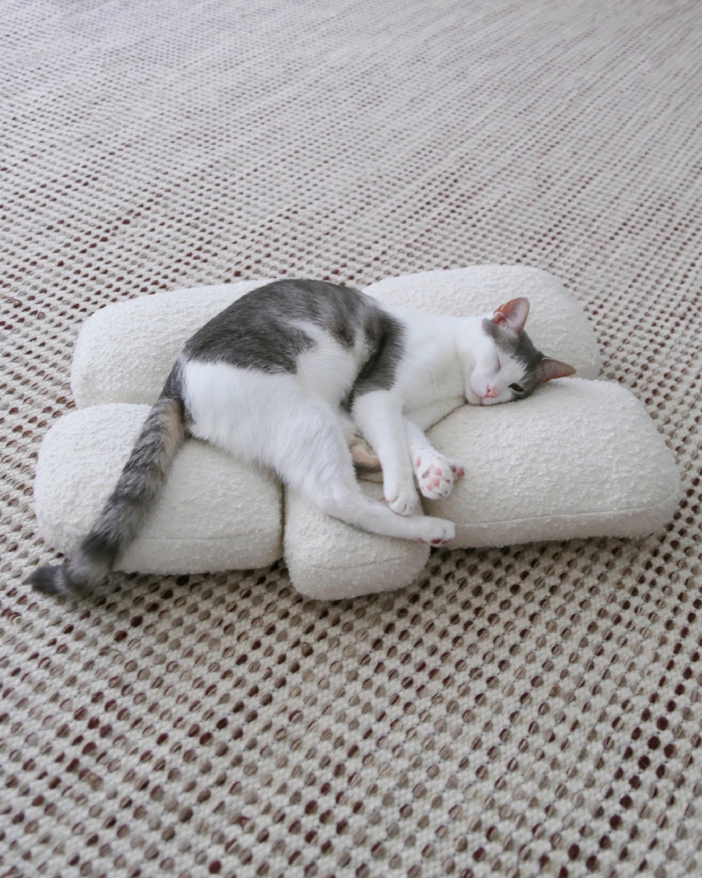 【プレオーダー】Pebble Bed