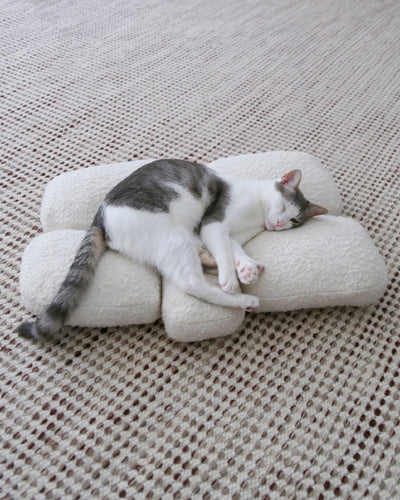 【プレオーダー】Pebble Bed