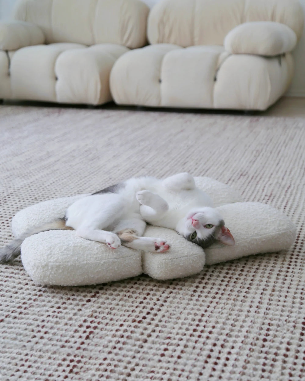 【プレオーダー】Pebble Bed