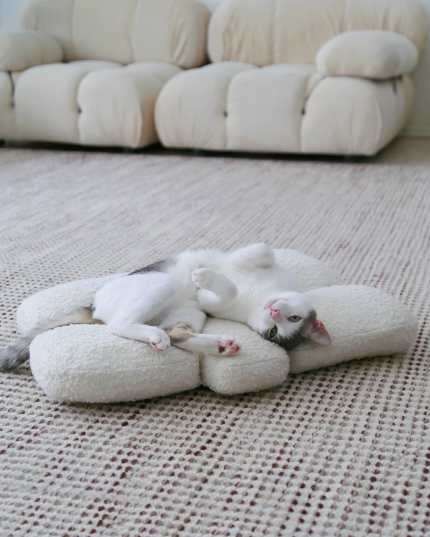 【プレオーダー】Pebble Bed