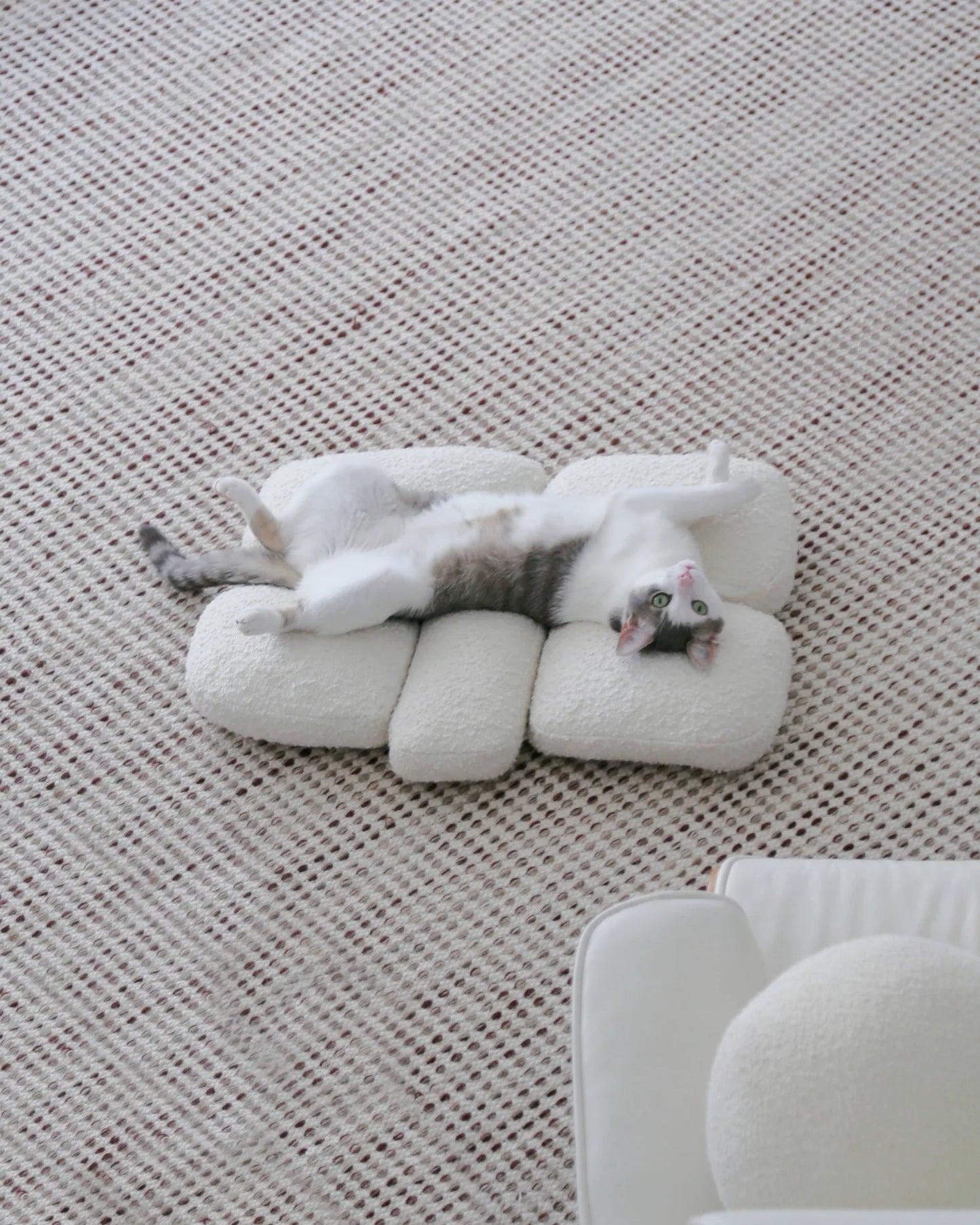 【プレオーダー】Pebble Bed