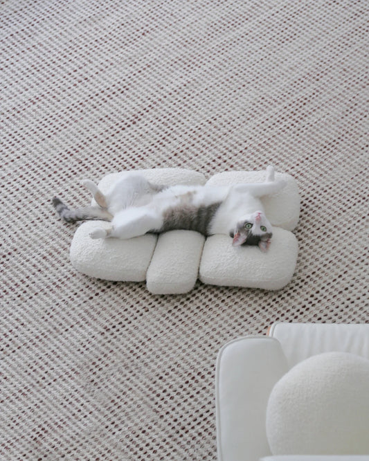 【プレオーダー】Pebble Bed