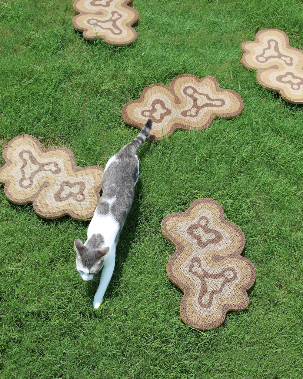 Bloom Scratchers