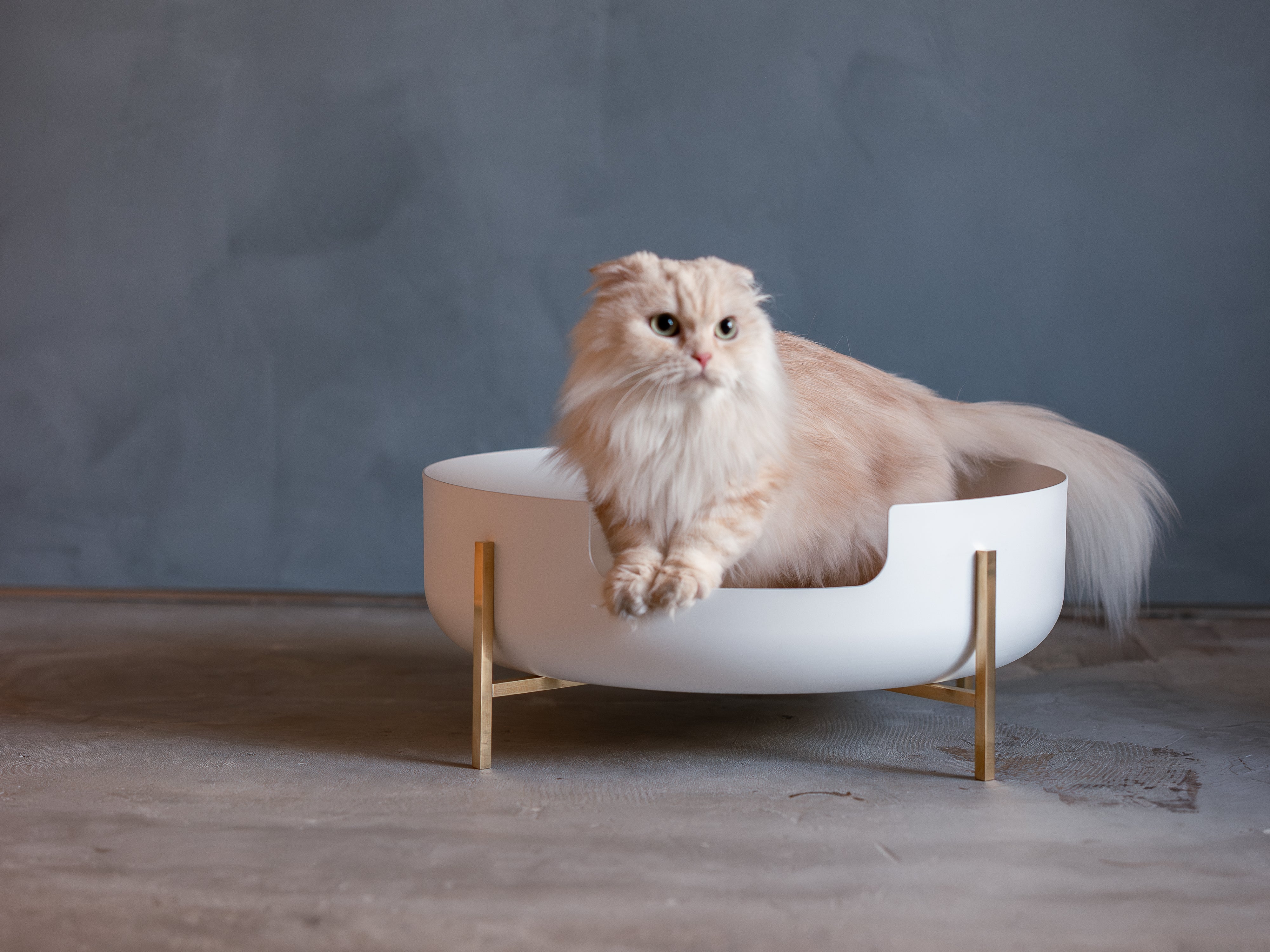 猫耳型 ♡ 猫用トイレ 412xqOXUC5L._SS200_.jpg