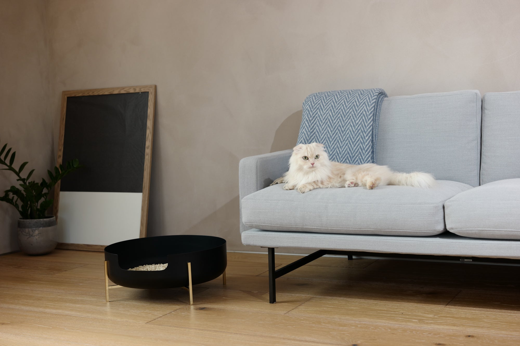 La Toilette Black　猫がソファーでくつろぐ　リビング　インテリア