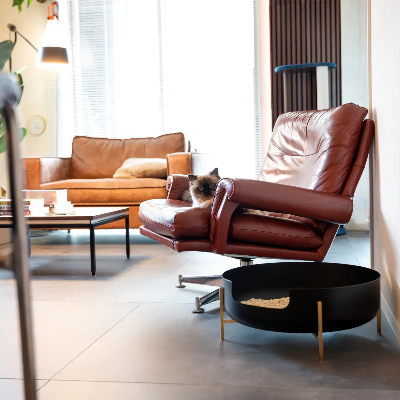 La Toilette 猫トイレ　ソファーでくつろぐ猫　リビング　インテリア