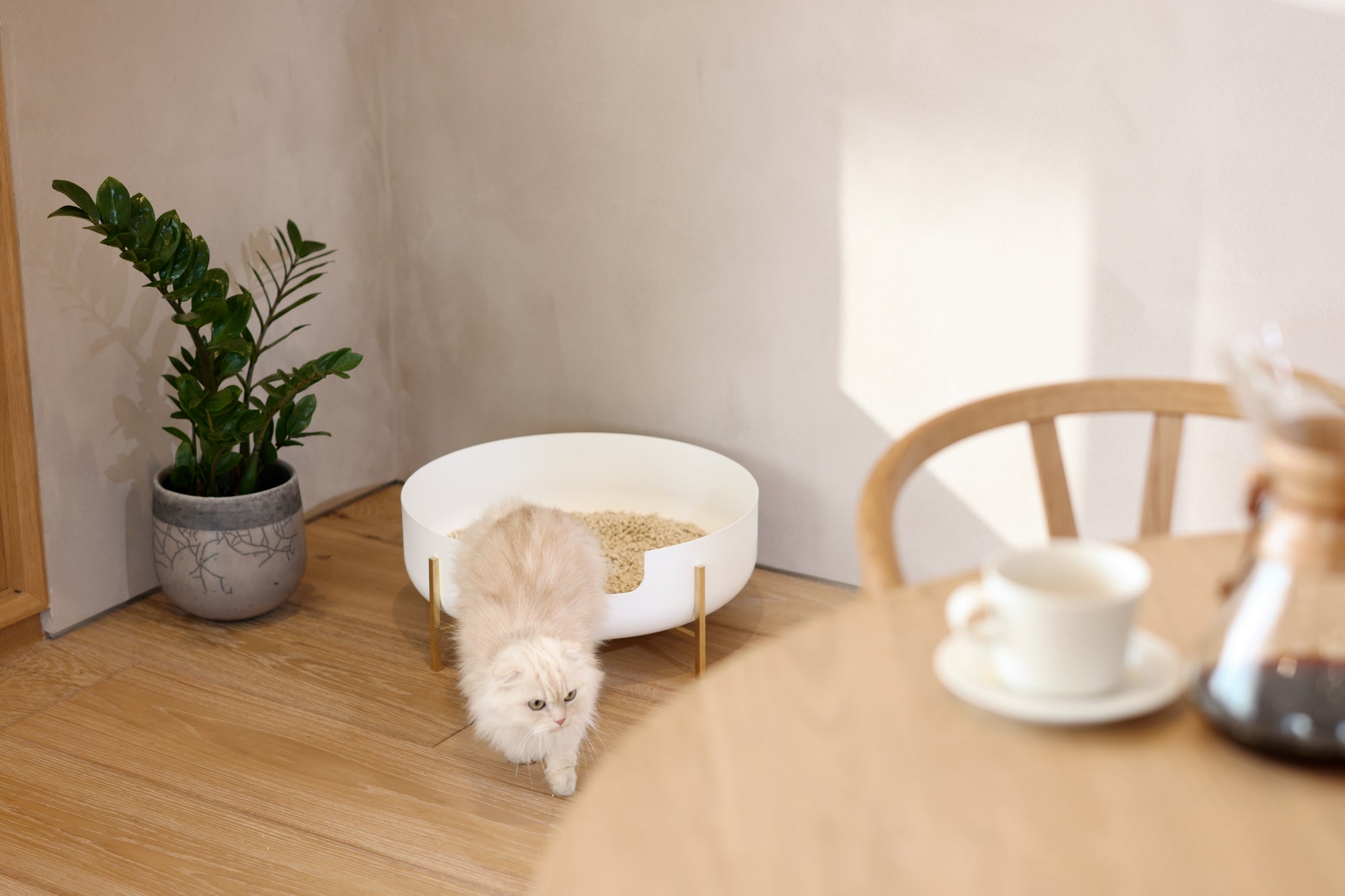 La Toilette　猫トイレ　猫　リビング　インテリア