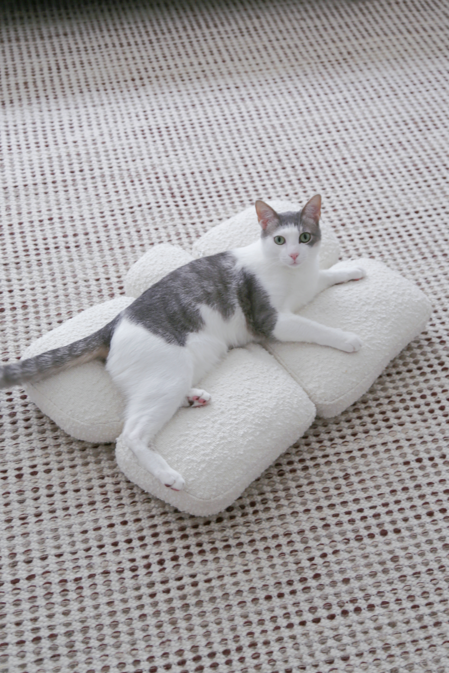 【プレオーダー】Pebble Bed