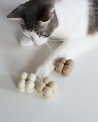Pearl Toys