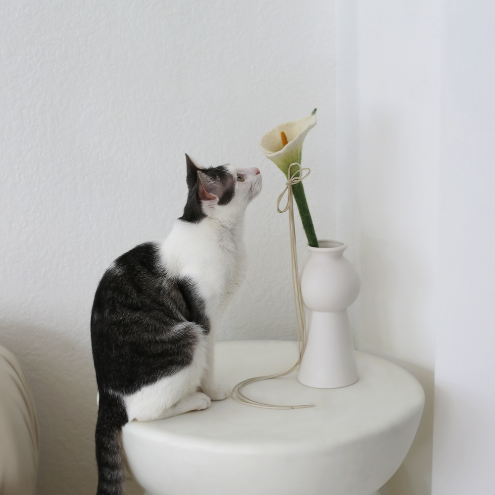 Flora Wand
