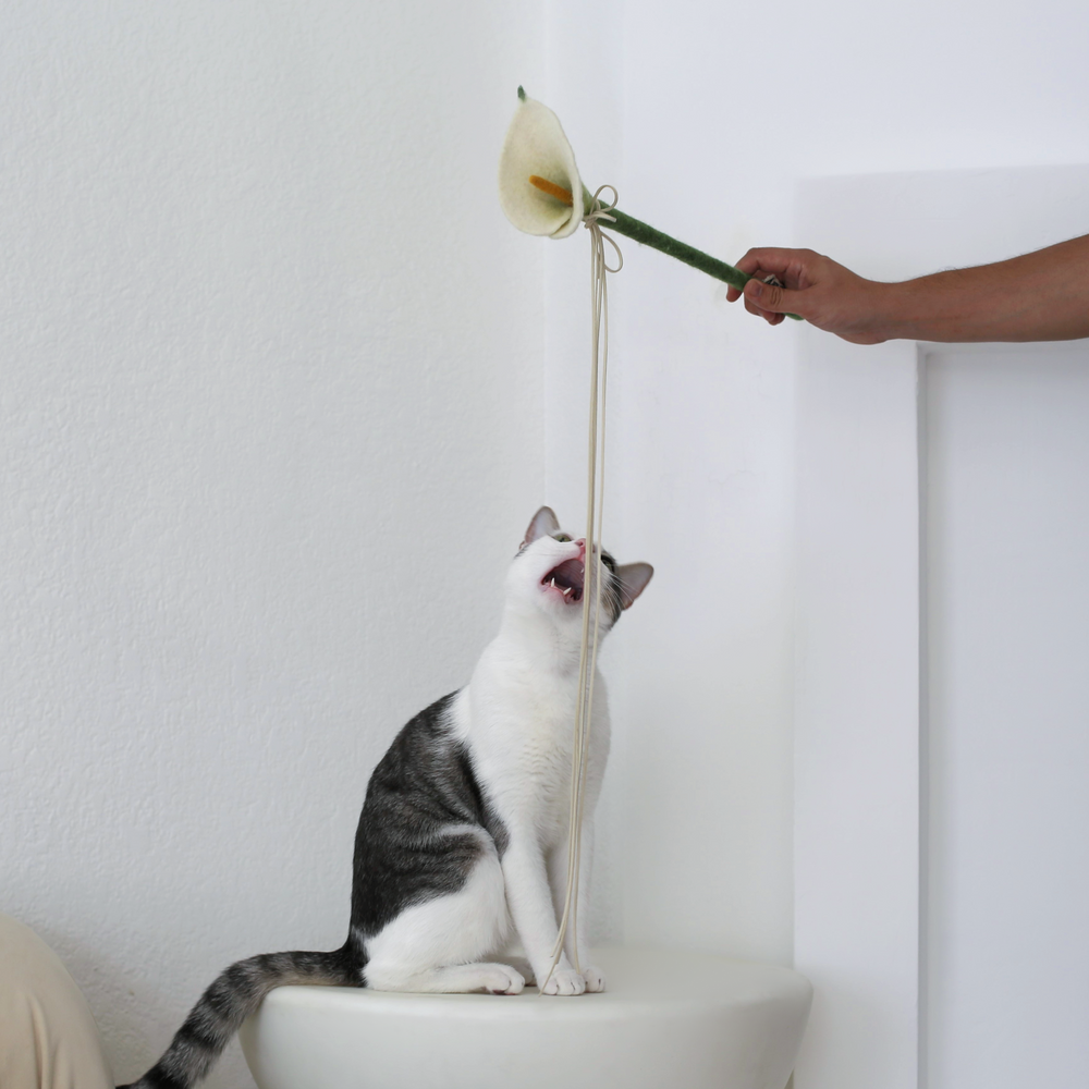 Flora Wand