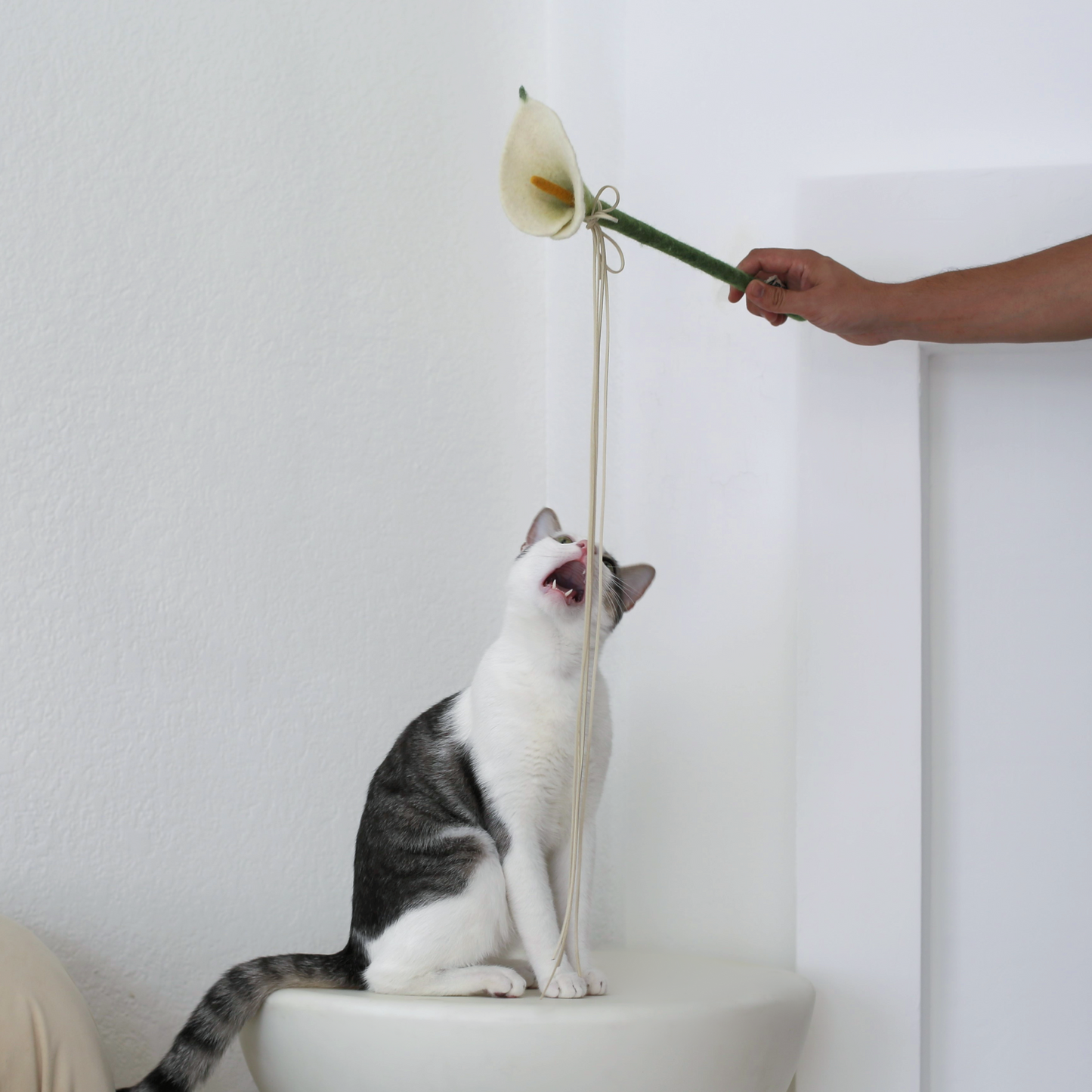 Flora Wand