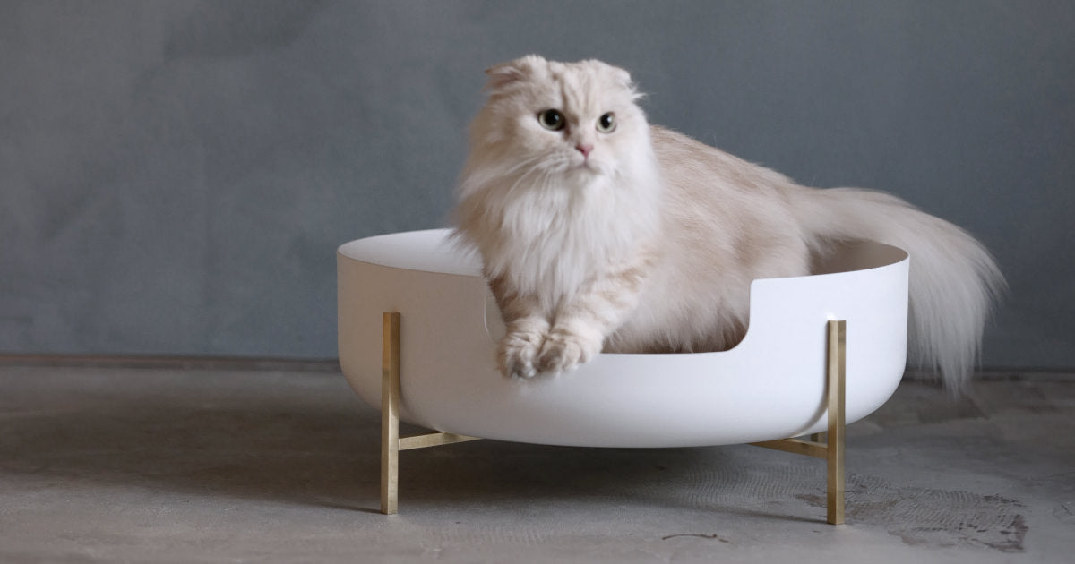 ABOUT – Katte