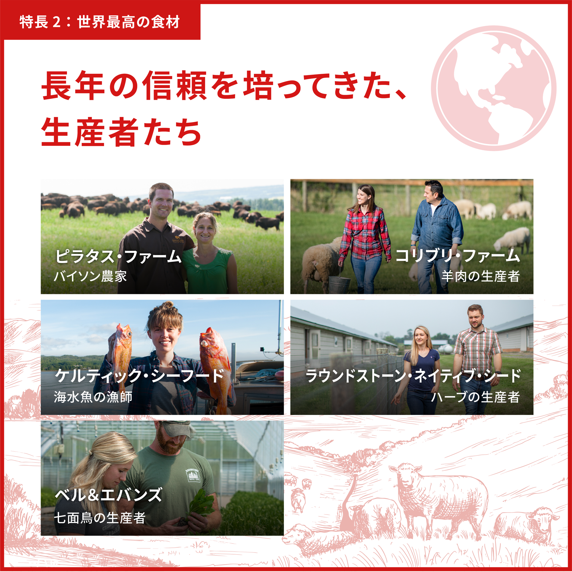 オリジン オリジナルキャット / Orijen Original Cat