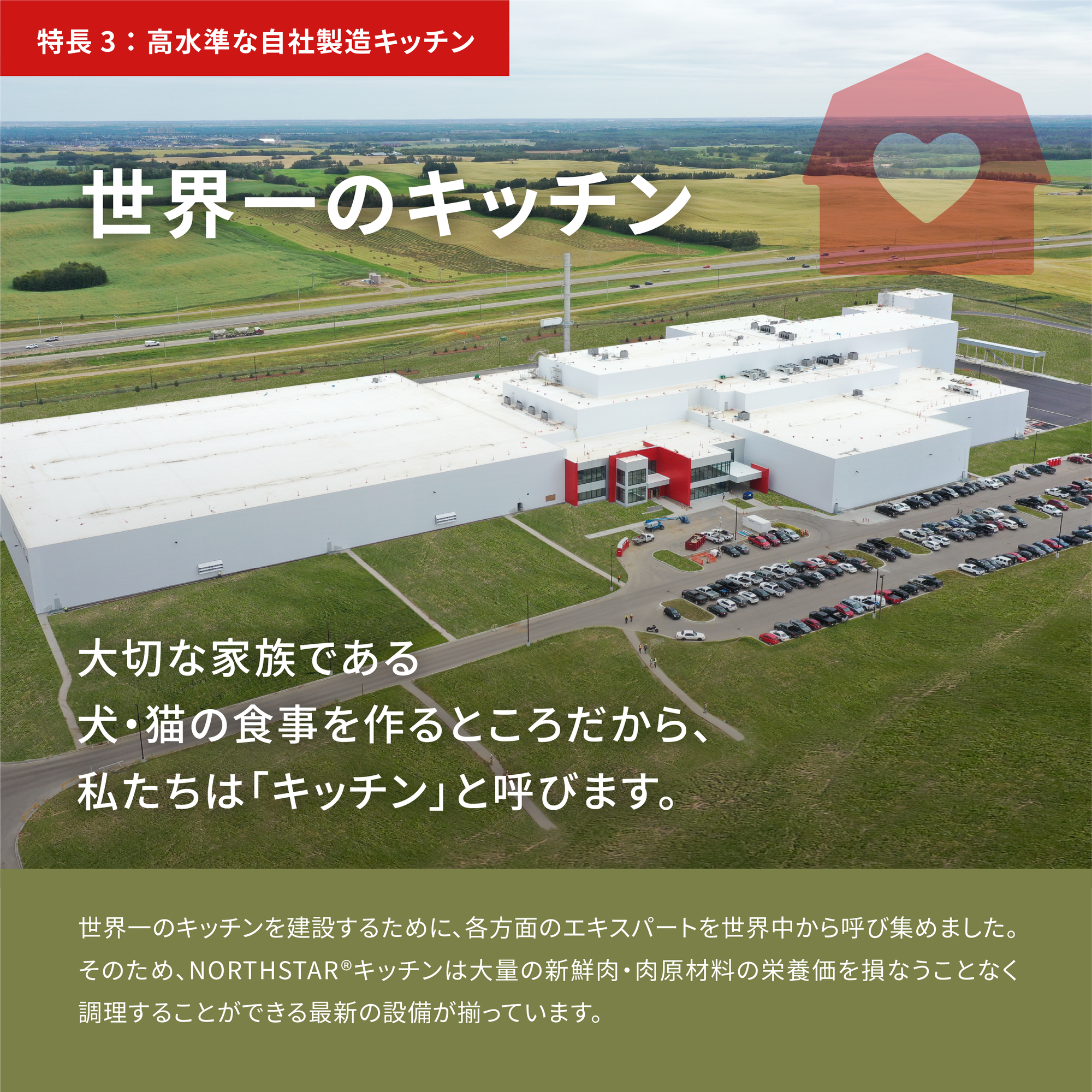 アカナ パシフィカキャット / AKANA Pacifica