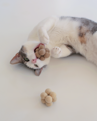 Pearl Toys