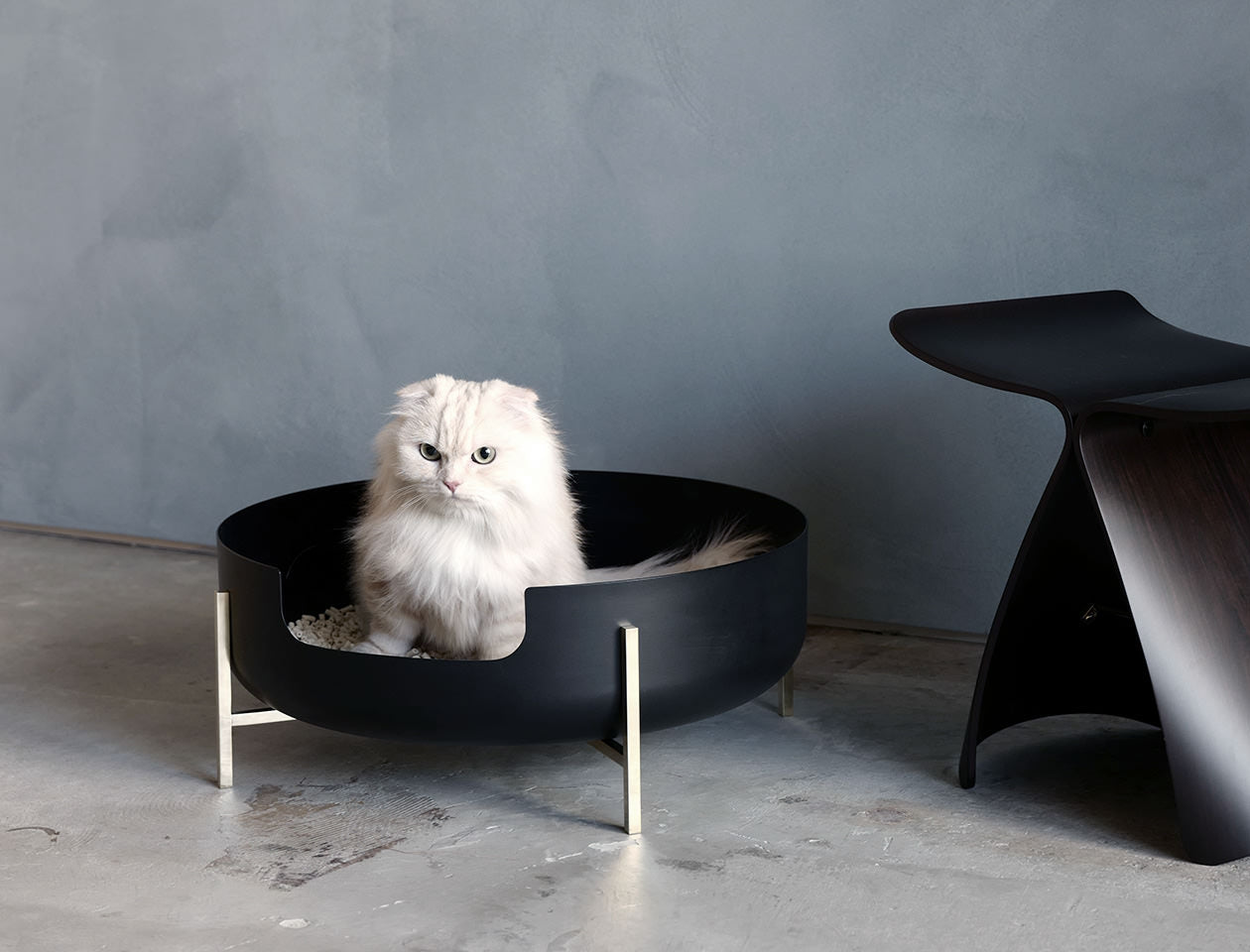 愛猫のための美しすぎるプロダクト」 猫向けトイレ「La Toilette