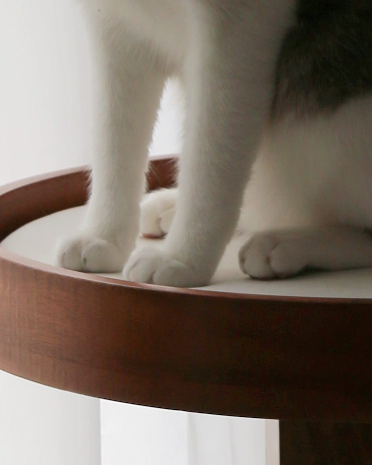 【プレオーダー】Sundial Cat Tree Tower