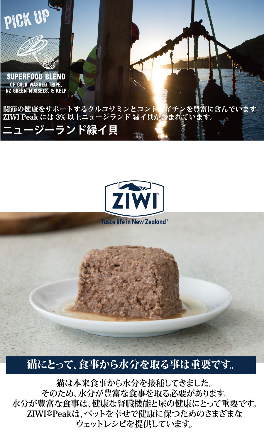 ZIWI -Peak- ウェットキャットフード ベニソン（鹿肉）